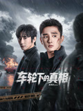 车轮下的真相海报